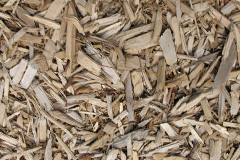 biomass boilers Alderminster